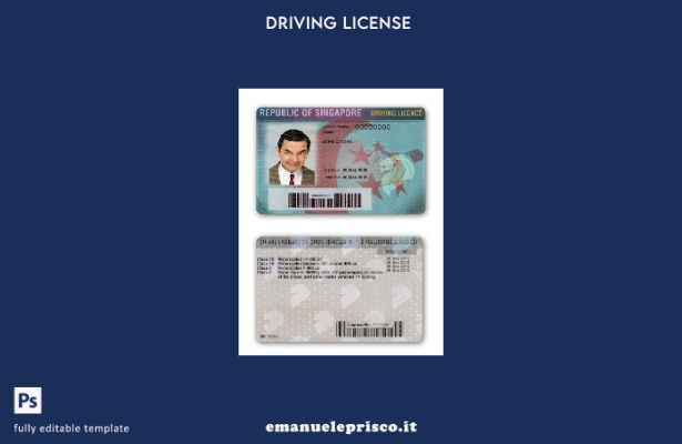 verified style modello di patente di guida di Singapore in stile verificato template